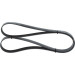 1 987 946 256 Keilrippenriemen