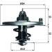 Mahle | Thermostat, Kühlmittel | TX 36 85D Mahle | Thermostat, Kühlmittel | TX 36 85D