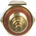 Delphi | Sensor, Kühlmitteltemperatur | TS10289 Delphi | Sensor, Kühlmitteltemperatur | TS10289