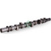 INA | Nockenwelle | 428 0198 10 INA | Nockenwelle | 428 0198 10