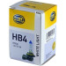 Hella | Glühlampe, Nebelscheinwerfer | 8GH 223 498-171 Hella | Glühlampe, Nebelscheinwerfer | 8GH 223 498-171