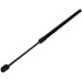 Maxgear | Gasfeder, Koffer-/Laderaum | 12-2482 Maxgear | Gasfeder, Koffer-/Laderaum | 12-2482