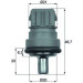 TSE 1D Sensor, Kühlmitteltemperatur BEHR