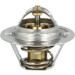 NRF | Thermostat, Kühlmittel | 725064
