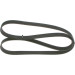 1 987 946 252 Keilrippenriemen