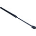 Maxgear | Gasfeder, Koffer-/Laderaum | 12-0301
