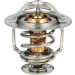 725248 Thermostat, Kühlmittel