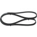1 987 946 061 Keilrippenriemen