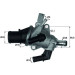 Mahle | Thermostat, Kühlmittel | TI 158 83