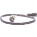 BOSCH | Lambdasonde | 0 258 003 892 BOSCH | Lambdasonde | 0 258 003 892