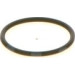 BOSCH | Dichtring | 1 410 257 029 BOSCH | Dichtring | 1 410 257 029
