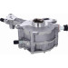 V10-0724 Kraftstoffpumpe Original VAICO Qualität