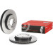 Brembo | Bremsscheibe | 09.B973.11