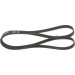 1 987 946 035 Keilrippenriemen