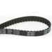 CT637 Zahnriemen