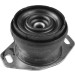 Tedgum | Lagerung, Motor | TED36590