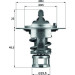 TX 65 82 Thermostat, Kühlmittel BEHR