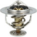 NRF | Thermostat, Kühlmittel | 725246