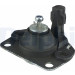 Delphi | Lagerung, Motor | TEM038 Delphi | Lagerung, Motor | TEM038
