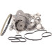 SKF | Wasserpumpe | VKPC 81341 SKF | Wasserpumpe | VKPC 81341