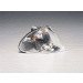 Magneti Marelli | Blinkleuchte | 710311328004 Magneti Marelli | Blinkleuchte | 710311328004
