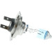 BOSCH | Glühlampe | 1 987 301 137 BOSCH | Glühlampe | 1 987 301 137