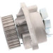 SKF | Wasserpumpe | VKPC 81407