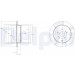 Delphi | Bremsscheibe | BG4329