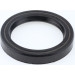 12000755B Dichtring