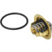Wahler | Thermostat, Kühlmittel | 410396.82D