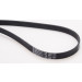ContiTech | Keilrippenriemen | 6PK2404