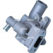 NRF | Thermostat, Kühlmittel | 725040