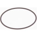 BOSCH | Dichtring | F 01M 100 371 BOSCH | Dichtring | F 01M 100 371