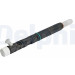 Delphi | Einspritzventil | R03902D Delphi | Einspritzventil | R03902D