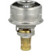 NRF | Thermostat, Kühlmittel | 725007