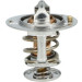 725119 Thermostat, Kühlmittel