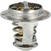 NRF | Thermostat, Kühlmittel | 725140