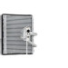 Mahle | Verdampfer, Klimaanlage | AE 194 000P