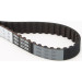 CT662 Zahnriemen