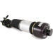 Arnott | Luftfederbein | AS-2785