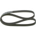 BOSCH 1 987 946 051 Keilrippenriemen 1030mm, 6 Rippen