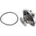 Wahler | Thermostat, Kühlmittel | 4455.80D