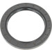 Corteco | Wellendichtring, Differential | 49355695 Corteco | Wellendichtring, Differential | 49355695