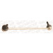 Monroe | Stange/Strebe, Stabilisator | L29621 Monroe | Stange/Strebe, Stabilisator | L29621
