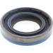 Corteco | Wellendichtring, Differential | 49376368 Corteco | Wellendichtring, Differential | 49376368