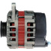 Hella | Generator | 8EL 011 711-311 Hella | Generator | 8EL 011 711-311