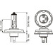 BOSCH | Glühlampe | 1 987 301 021 BOSCH | Glühlampe | 1 987 301 021