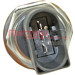 Metzger | Sensor, Kraftstoffdruck | 0906324