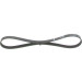 1 987 946 121 Keilrippenriemen Elastic