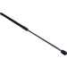 Maxgear | Gasfeder, Koffer-/Laderaum | 12-0253 Maxgear | Gasfeder, Koffer-/Laderaum | 12-0253